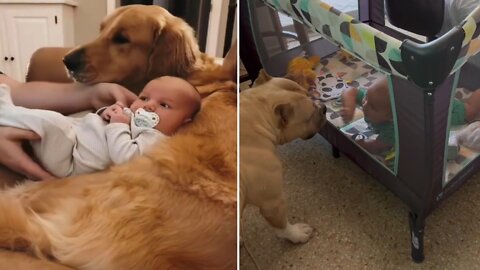 Little baby With Cute and funny dogs video Compilation #03
