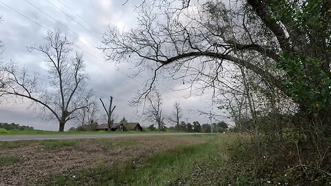 🚗 🚚 GA HWY-122 Morning until early evening - Traffic and birds! #asmr