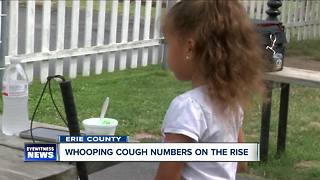 Number of Whooping Cough Cases on the Rise in Erie County this Summer