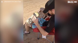 Guy expresses burning love for girlfriend using magnifying glass