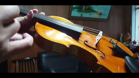 GR's violin vlog #2 - my new violin and progress after 3 lessons and ~24 hour of practice...