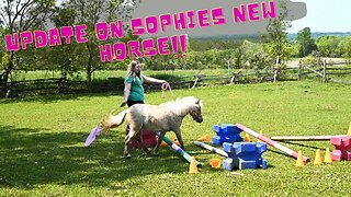 More New Pets For Our Farm And Update On Sophies New Horse!
