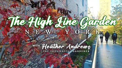 The High Line Garden - New York!