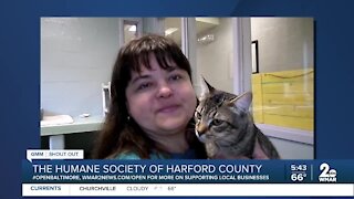 Humane Society of Harford County says "We're Open Baltimore!"