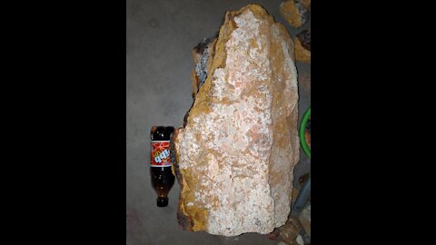 Cleaning and Weighing Giant Log of Petrified Wood