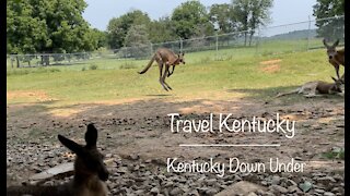 Travel Kentucky - Kentucky Down Under