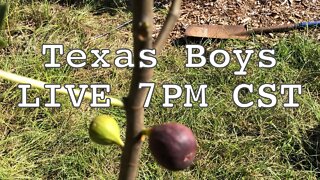 Texas Boys LIVE 7PM CST