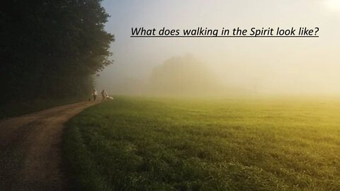 What does walking in the Spirit look like?