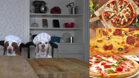 DOG Make a PIZZA