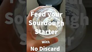 How to Feed Your Sourdough Starter