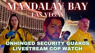 Mandalay Bay Casino Security Guards Become Unhinged On Public Sidewalk After Assault Caught On Film🔥