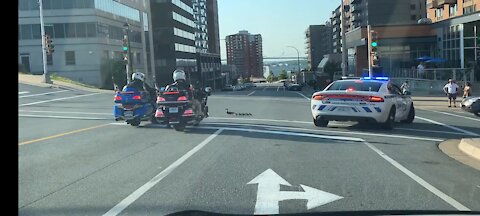 Police escorting Duck and Ducklings crossing the street