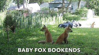 Baby Fox Bookends