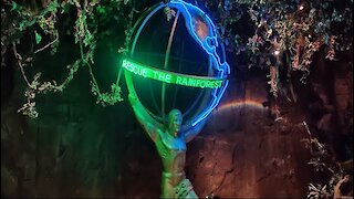 Rainforest Cafe: Best Jungle Cafe In Arizona