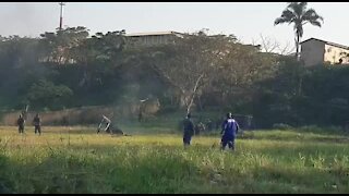 #Elections2019 - WATCH: Police take on land invaders in Cato Manor (eck)