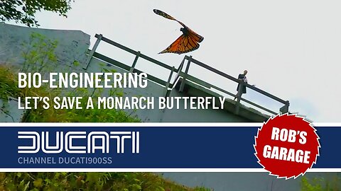 Bio-Engineering a Monarch Butterfly - Rob's Garage