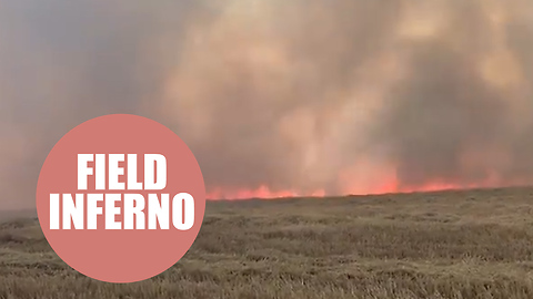 Over 100 firefighters tackle huge 50ft flames at rural field in Buckinghamshire