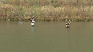 Fly Fishing the Owyhee