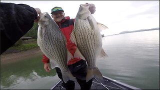 One of my Funnest Days Fishing! -- Hybrid Bass Mayhem