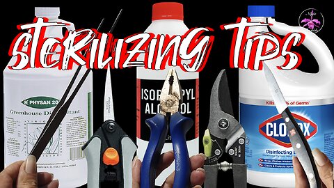How to Sterilize Pruning Tools & Pots for Orchids as well as Houseplants #ninjaorchids