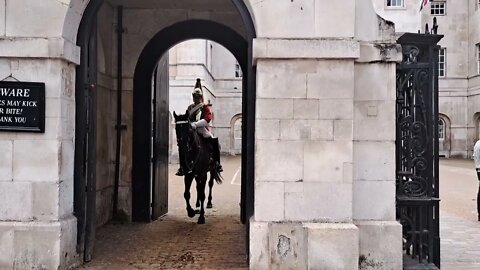 Man whistles and a wasp sends kings guard Horse crazy 28/9/22 #horseguardsparade