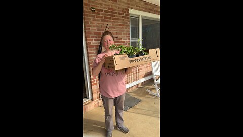 Setting up our Seedlings/Plants up for Success