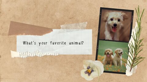 What's Your Favorite Animal ? 🐶🐶🐶🐶🐶🐶🐶🐶🐶🐶