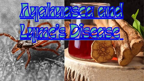 Can Ayahuasca Cure Lyme’s Disease? I'm About to Find Out.