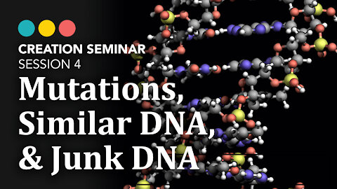 Creation: Mutations, Similar DNA & Junk DNA | Session 4
