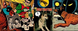 Dynamic Dogs in Comic Books or, How Comic Books Went to the Dogs