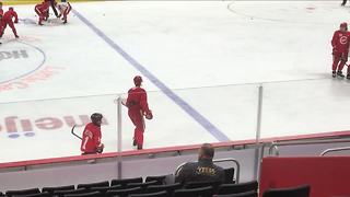 Red Wings team up with Make a Wish