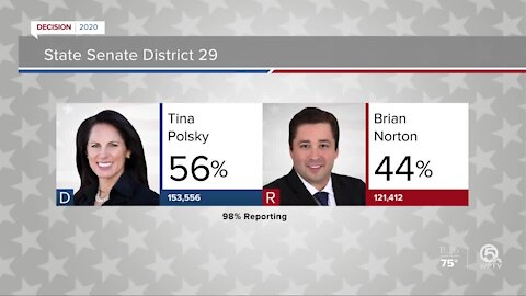 Tina Polsky claims victory over Brian Norton in Florida Senate District 29