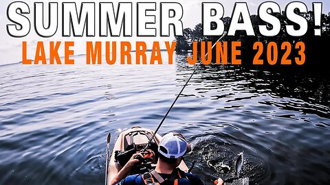Summer bass fishing on Lake Murray! June 2023