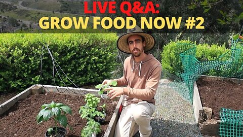 🔴LIVE Q&A Grow Food NOW #2