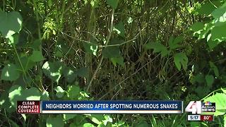 Independence neighborhood fights snake infestation