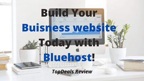 The Beginner's Guide to a Buisness Website, Bluehost Review