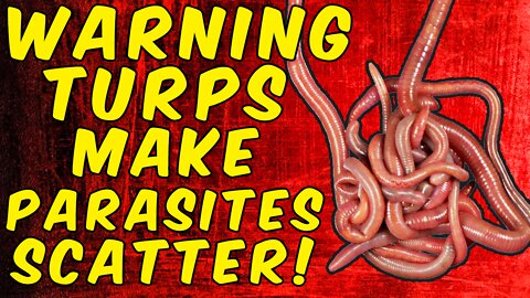 WARNING Turpentine Will Make Parasites Scatter!