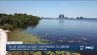 Blue-green algae health warnings continue in Southwest Florida
