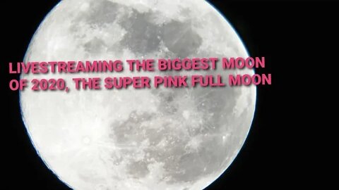 Biggest Full Moon of 2020 Live, Super Pink Moon in HD Mega Zoom, 8" Meade LX200 ACF