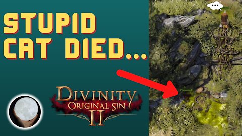 A Patient Gamer Plays...Divinity Original Sin II: Part 4 Dumb Black Cat
