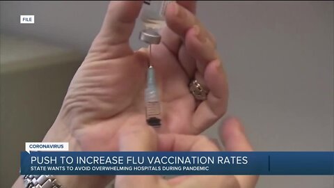 Gov. Whitmer urging Michiganders to get flu vaccine