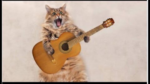 Cute Cat Singing Ah Aaaaa aa | Cute Animal Videos