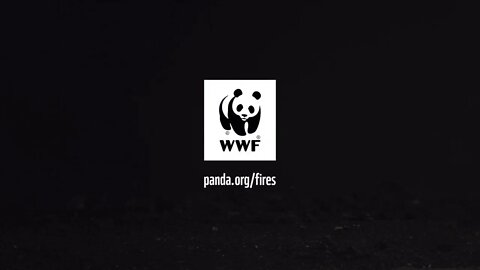 A Flammable Planet This Incredible One-Minute Stop-Motion Film From WWF Is Worth Watching 易燃星球 值得一看