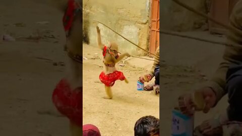 amazing video 😍😍😍 | amazing views video 😳😳 | natural amazing video ❤ whatsapp comedy #shorts(4)