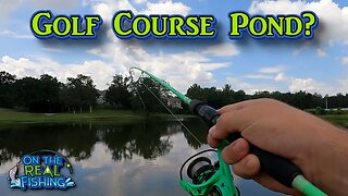 A Quick Dangle: Fishing a Golf Course Pond!