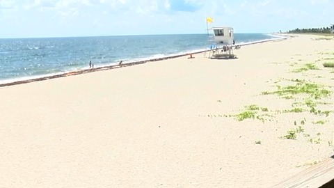 Algae tested at Bathtub Beach slightly toxic