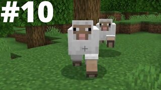 Gathering Animals| Minecraft Survival Hard Mode #10