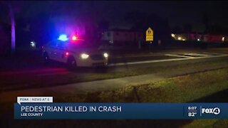 Fatal crash on Orange Grove Blvd. in Lee County