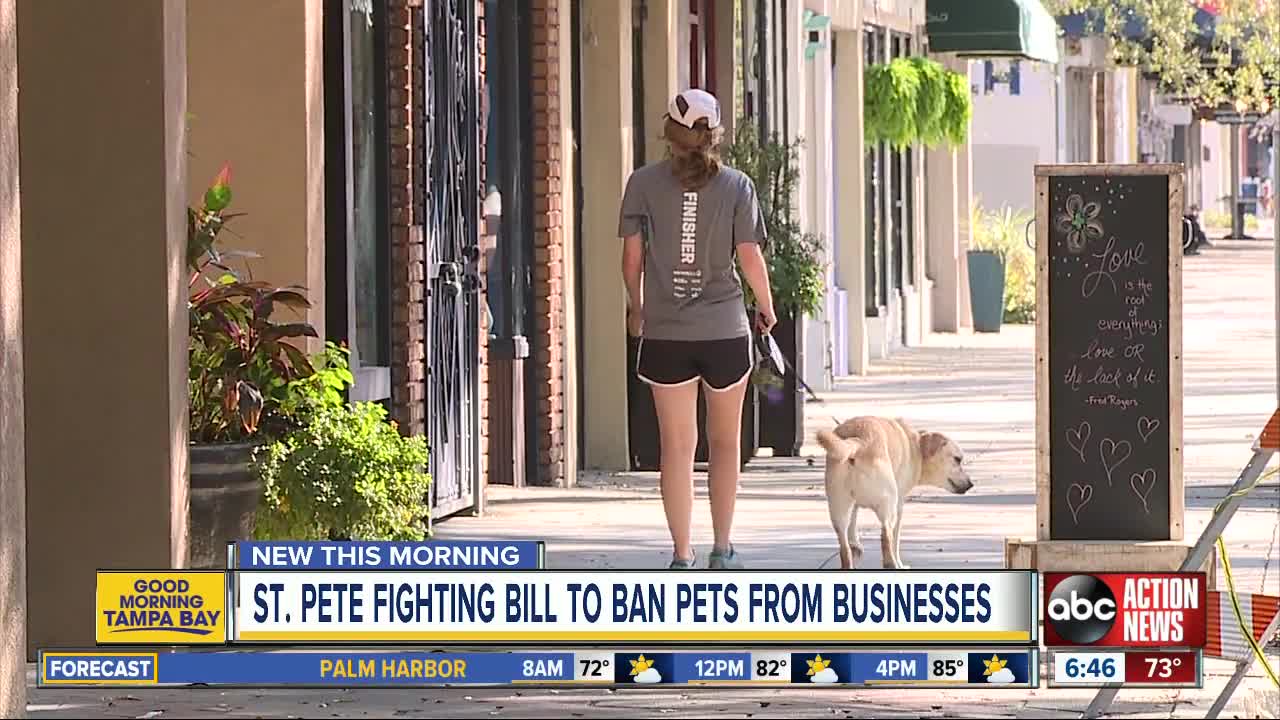 St. Petersburg leaders take stand against Florida bill that would ban pets from certain areas
