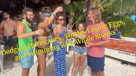 Dodging Hurricanes, Turtle Egg Laying, and Swimming with Whale Sharks -Ep. 57